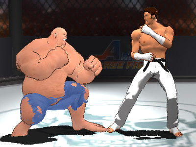 Art of Free Fight